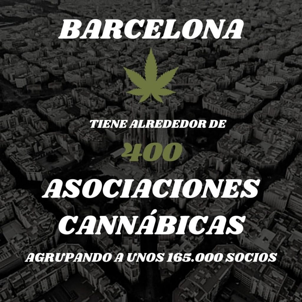 número de clubes sociales de cannabis en Barcelona