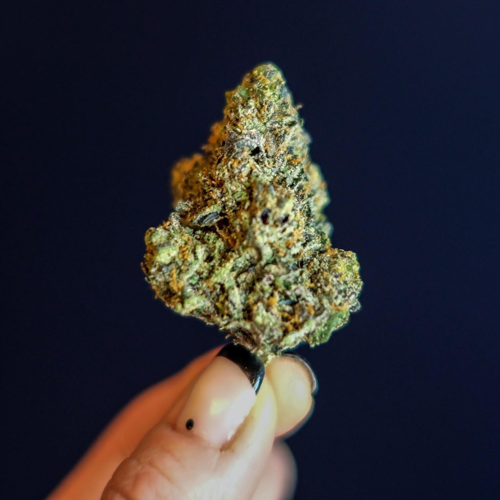 características de un Club Social de Cannabis