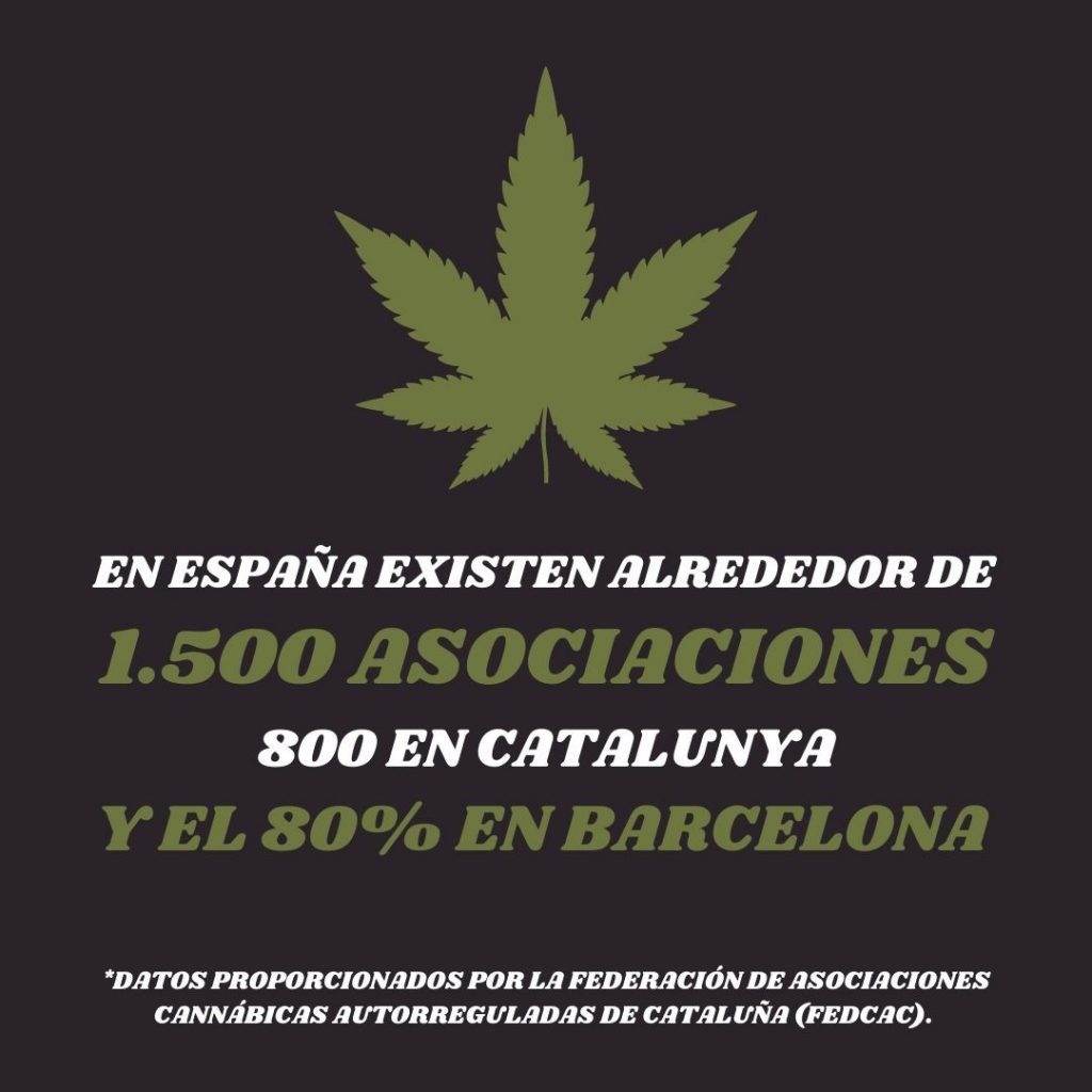 clubes cannábicos y su efecto en la economía