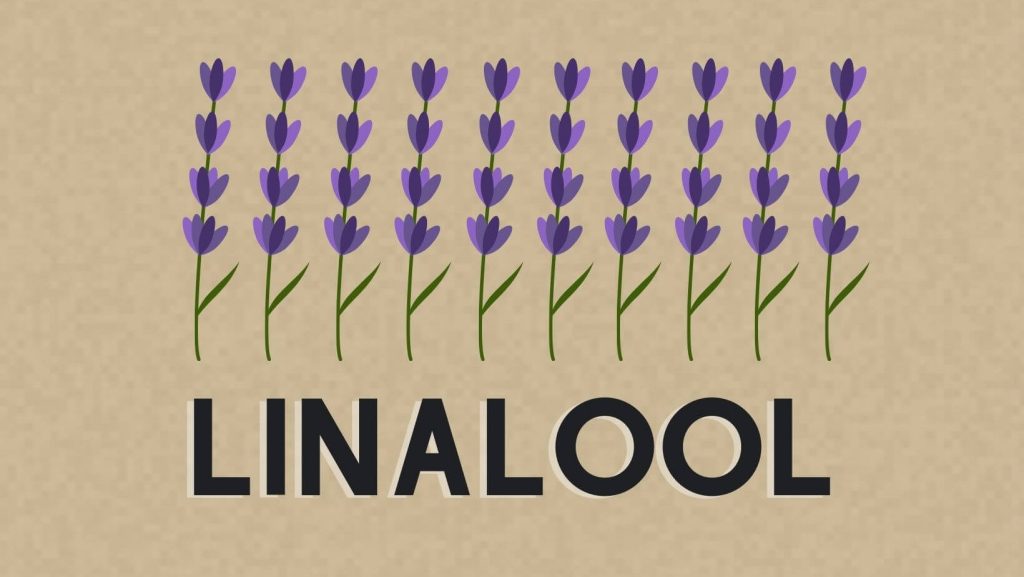 qué es el linalool en el cannabis