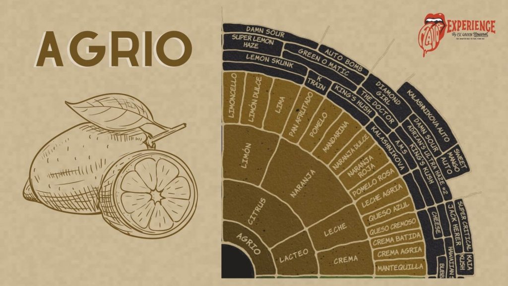 ¿Cómo maridar sabores agrios y marihuana?