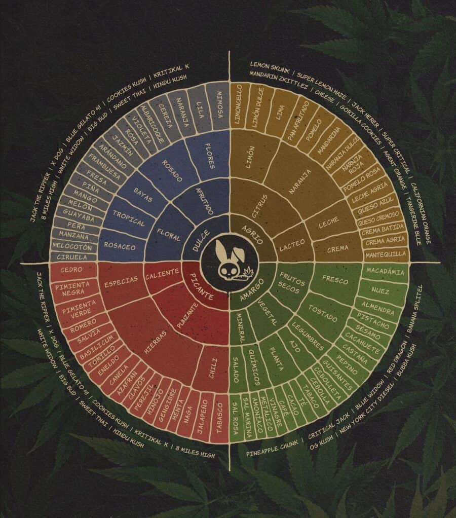 Rueda Sabores Terpenos Cannabis.