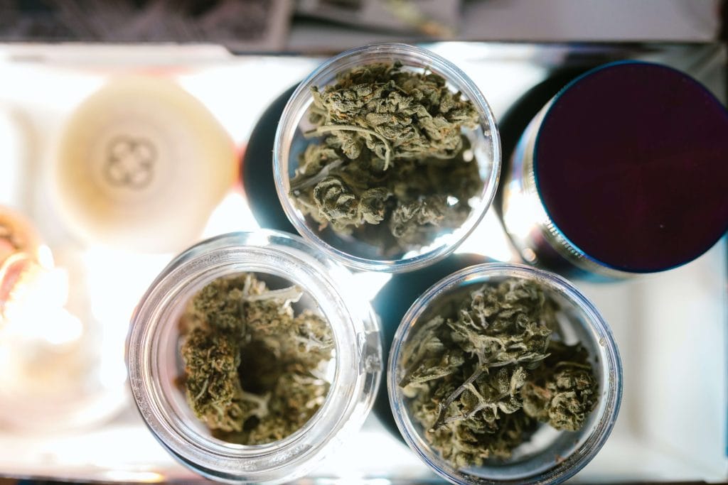 variedades cannábicas para verano