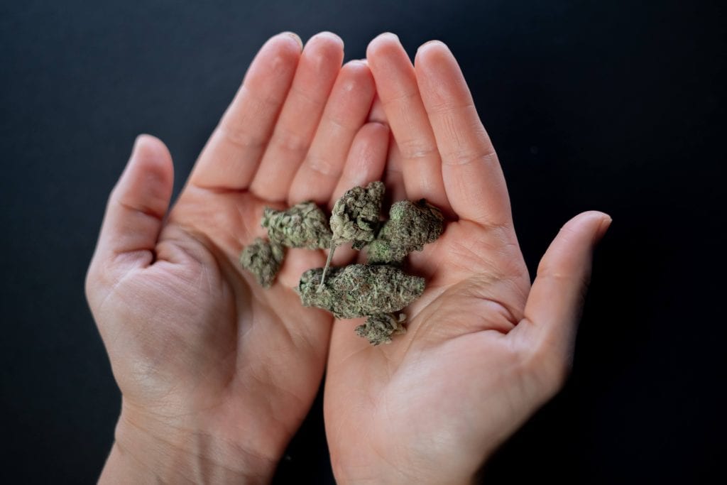 qué forma debe tener un cogollo de marihuana de buena calidad