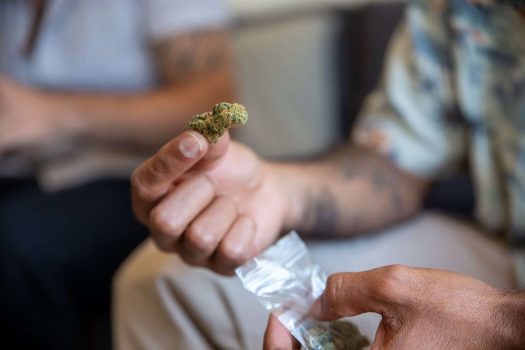 dinero necesario para crear asociación de cannabis