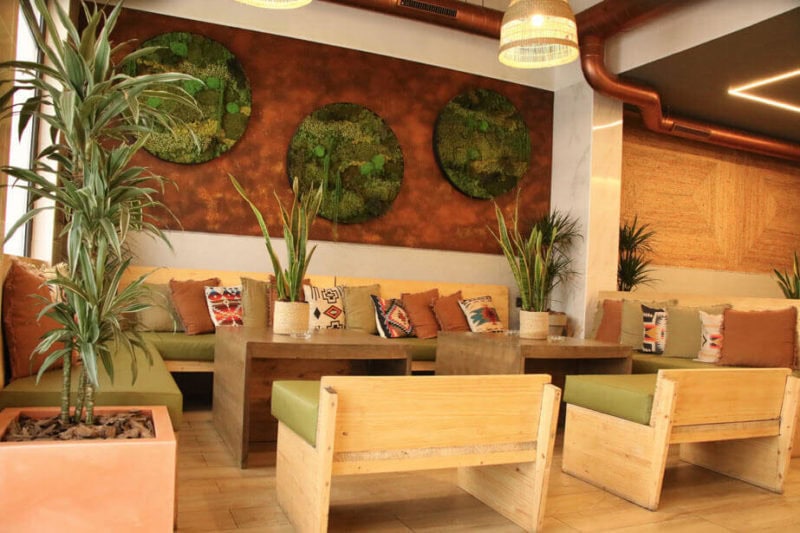 barcelona weed club la asociación cannábica para los stoners